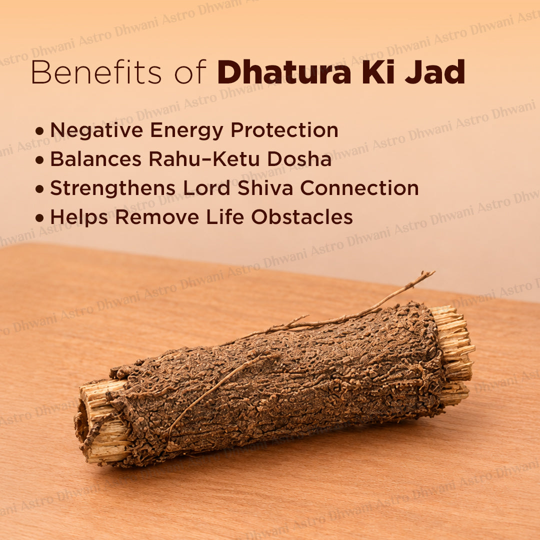 Dhature Ki Jad