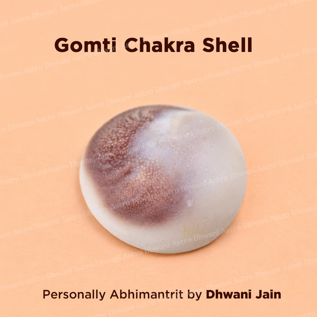 Gomti Chakra Shell - Abhimantrit