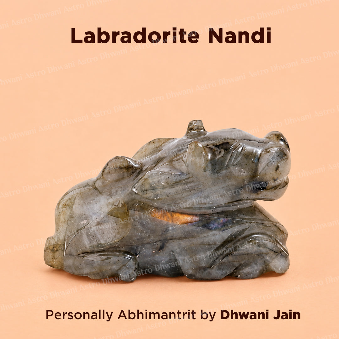 Labradorite Nandi - Abhimantrit