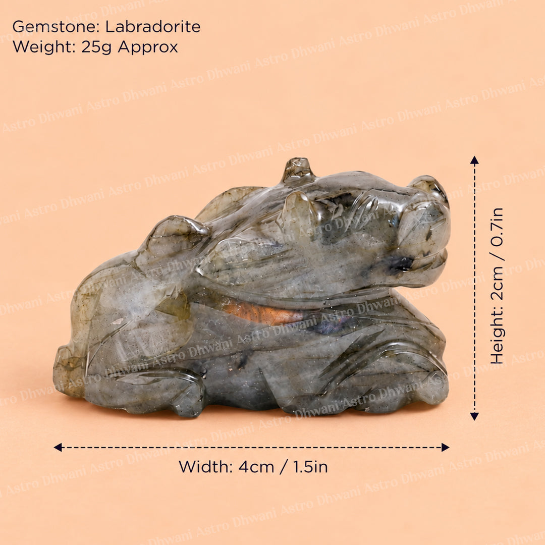 Labradorite Nandi - Abhimantrit