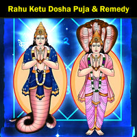 Rahu-Ketu Shanti Puja & Yajna: To Alleviate the Harmful Effects of Rahu and Ketu and Bring Relief from Confusion, Instability and Delays